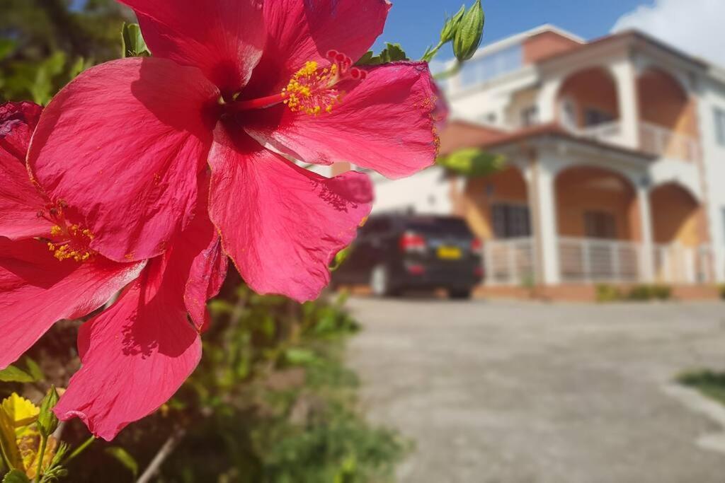 St. George'S Holiday Studio Vacation Of A Lifetime Fontenoy Экстерьер фото